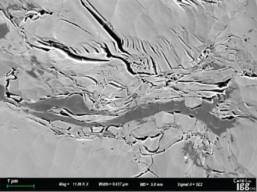 Details are in the caption following the image