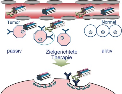 Biodegradable Inorganic Nanovector: Passive versus Active Tumor Targeting in siRNA Transportation