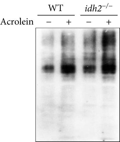 Details are in the caption following the image