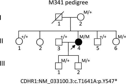 Details are in the caption following the image