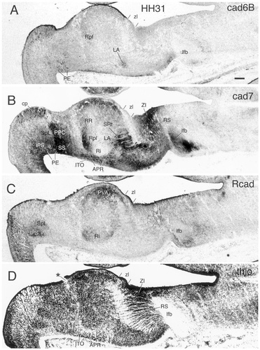 Details are in the caption following the image Details are in the caption following the image