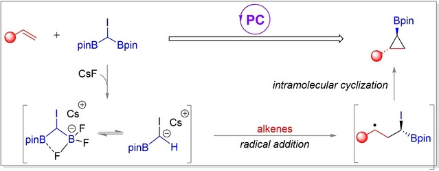 Photocatalyzed Borylcyclopropanation of Alkenes with a (Diborylmethyl)iodide Reagent