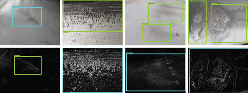 Details are in the caption following the image Details are in the caption following the image