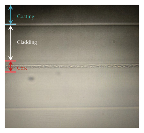 Details are in the caption following the image