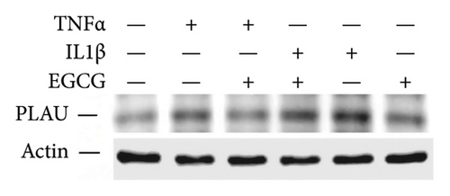 Details are in the caption following the image