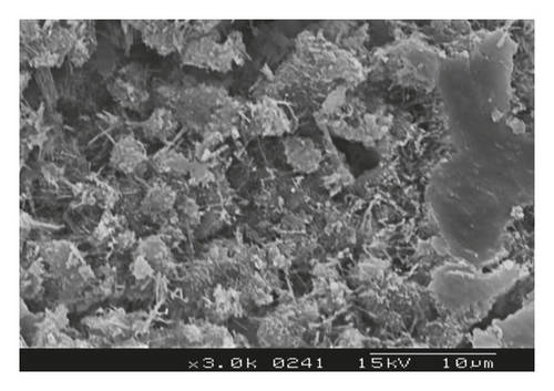 Details are in the caption following the image