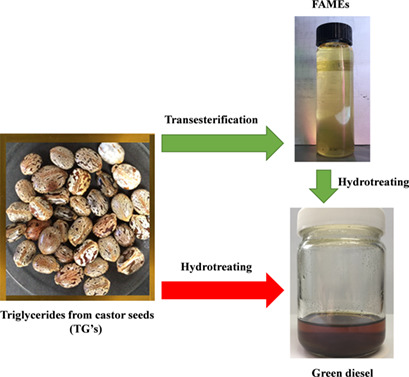 Hydrotreating Model Comparison of Raw Castor Oil and its Methyl Esters for Biofuel Production