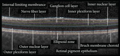 Details are in the caption following the image Details are in the caption following the image