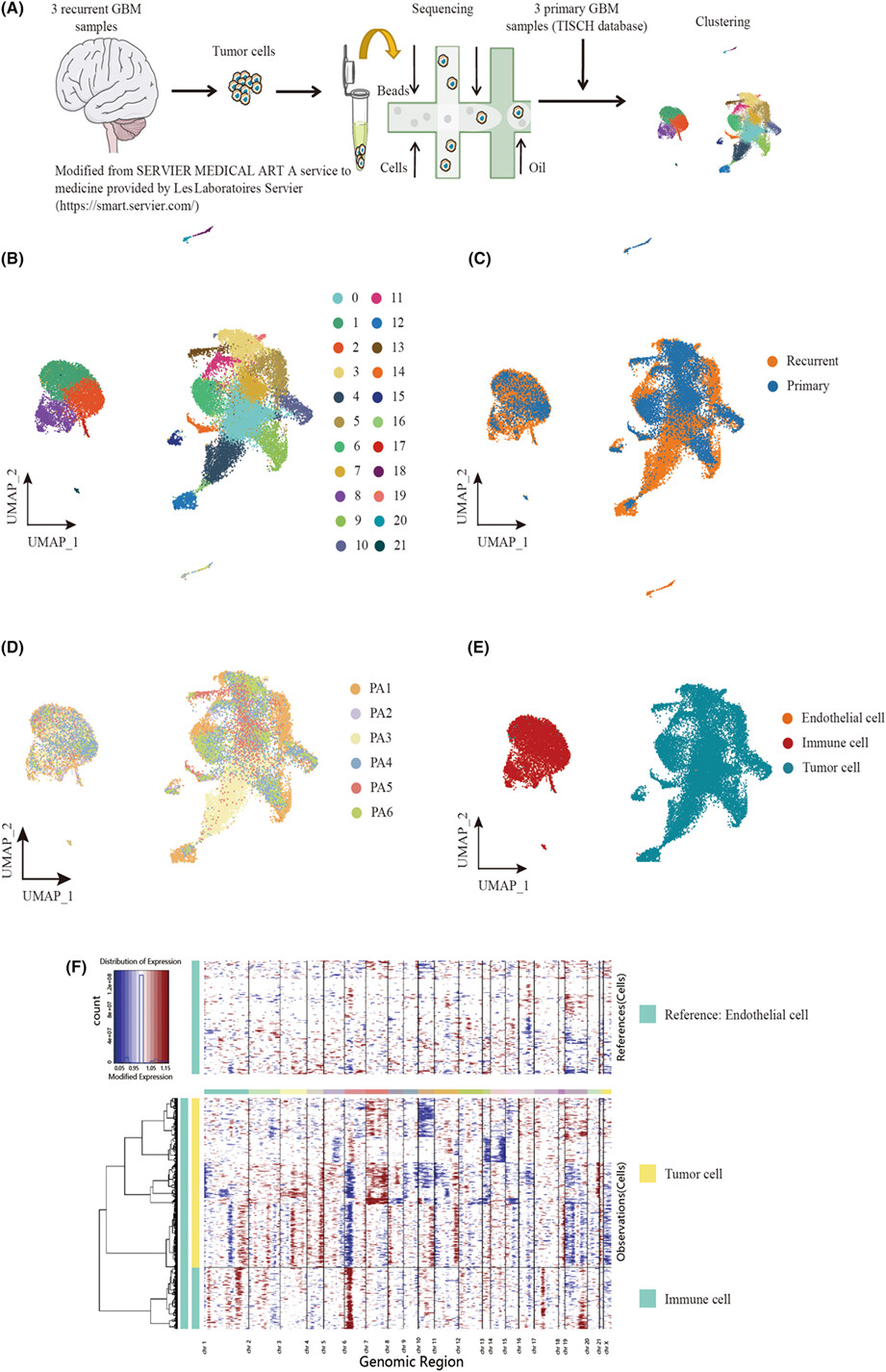 Single-cell RNA sequencing reveals tumor heterogeneity, microenvironment, and drug-resistance mechanisms of recurrent glioblastoma