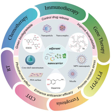 Polyphenol-Based Nanosystems for Next-Generation Cancer Therapy: Multifunctionality, Design, and Challenges