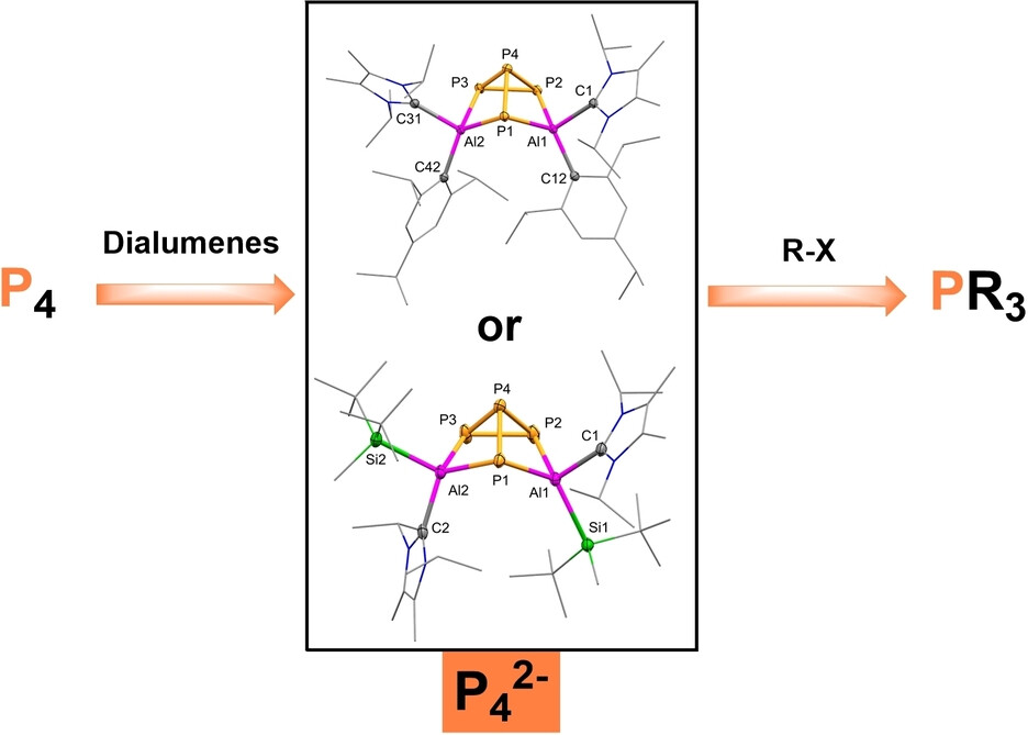 Dialumene-Mediated Production of Phosphines through P4 Reduction