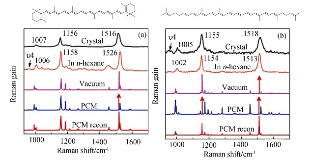 Density Functional Theoretical Analysis of the Molecular Structural Effects on Raman Spectra of β-Carotene and Lycopene