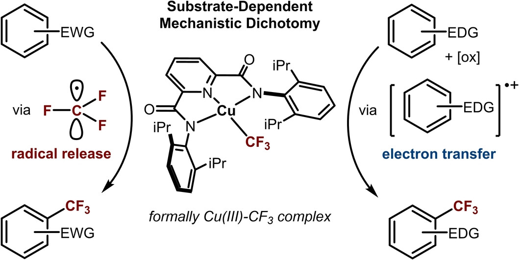The Role of Electron Transfer in Copper-Mediated C(sp2)−H Trifluoromethylation