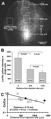 Details are in the caption following the image