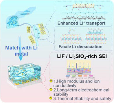 Multivariate Distribution Structured Anisotropic Inorganic Polymer Composite Electrolyte for Long-Cycle and High-Energy All-Solid-State Lithium Metal Batteries
