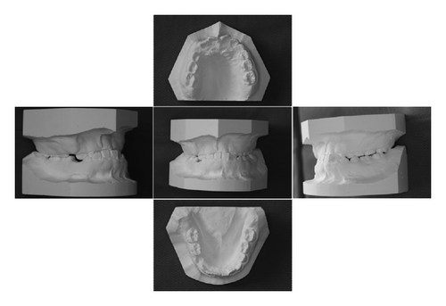 Details are in the caption following the image Details are in the caption following the image