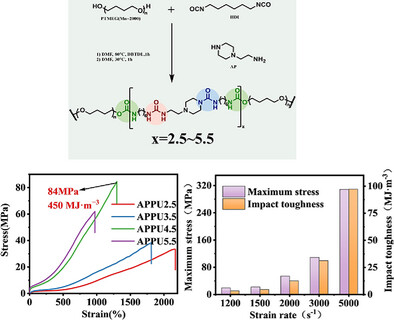 Strong and Anti-Impact Multi-Functional Elastomer via Hierarchical Hydrogen Bonding Design