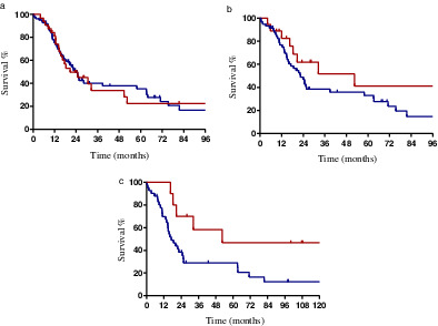 Postoperative radiotherapy for pathological stage IIIA-N2 non-small cell lung cancer with positive surgical margins