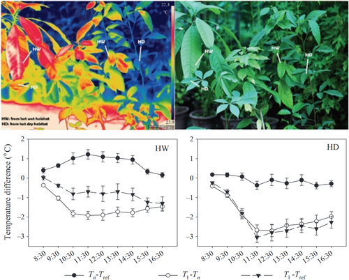 Details are in the caption following the image Details are in the caption following the image