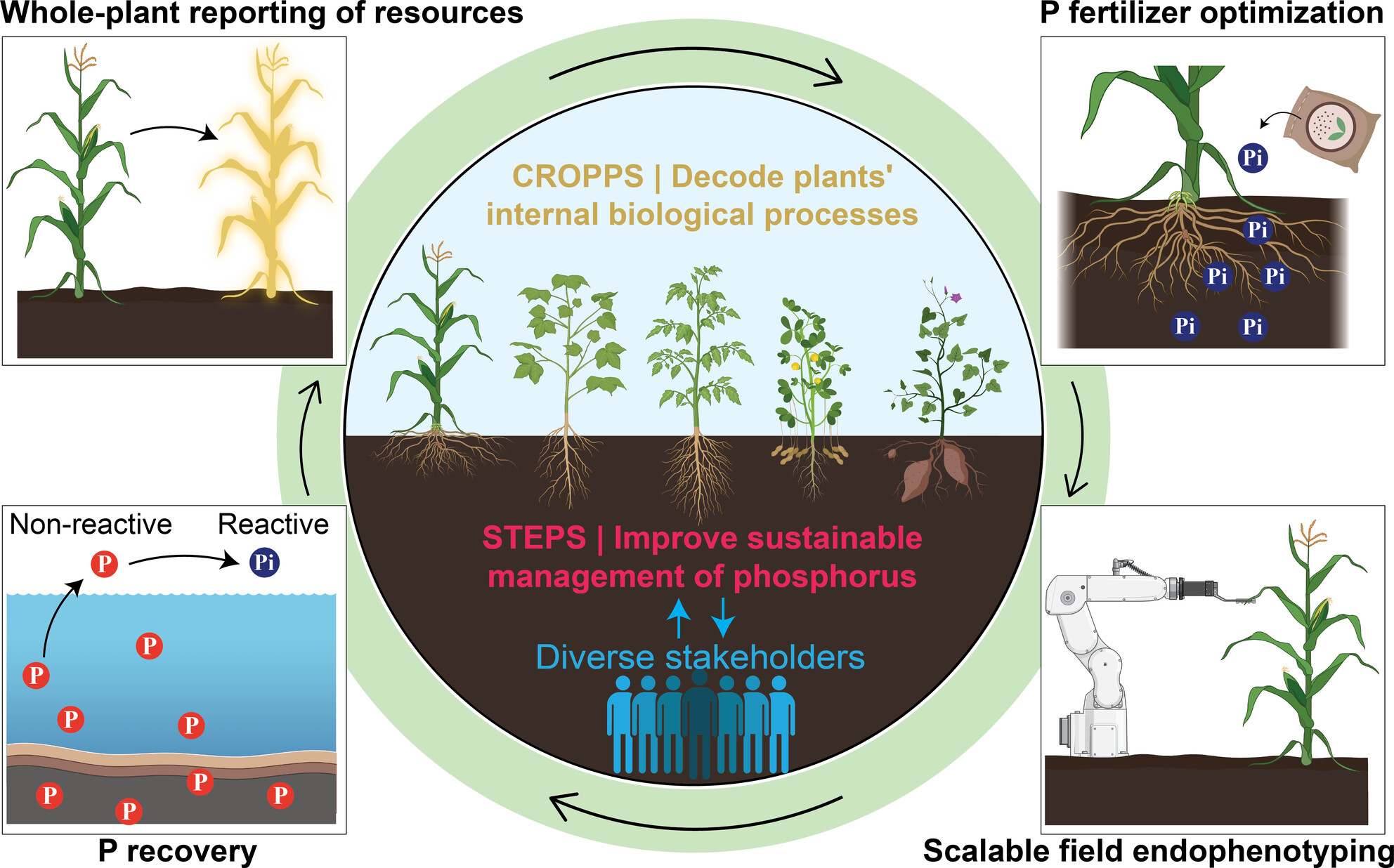 Transdisciplinary Collaborations for Advancing Sustainable and Resilient Agricultural Systems