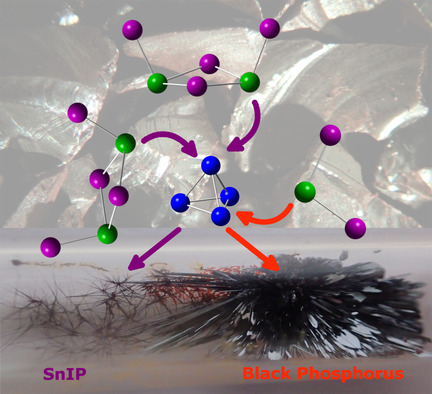 Bildungsmechanismen für Phosphoren und SnIP