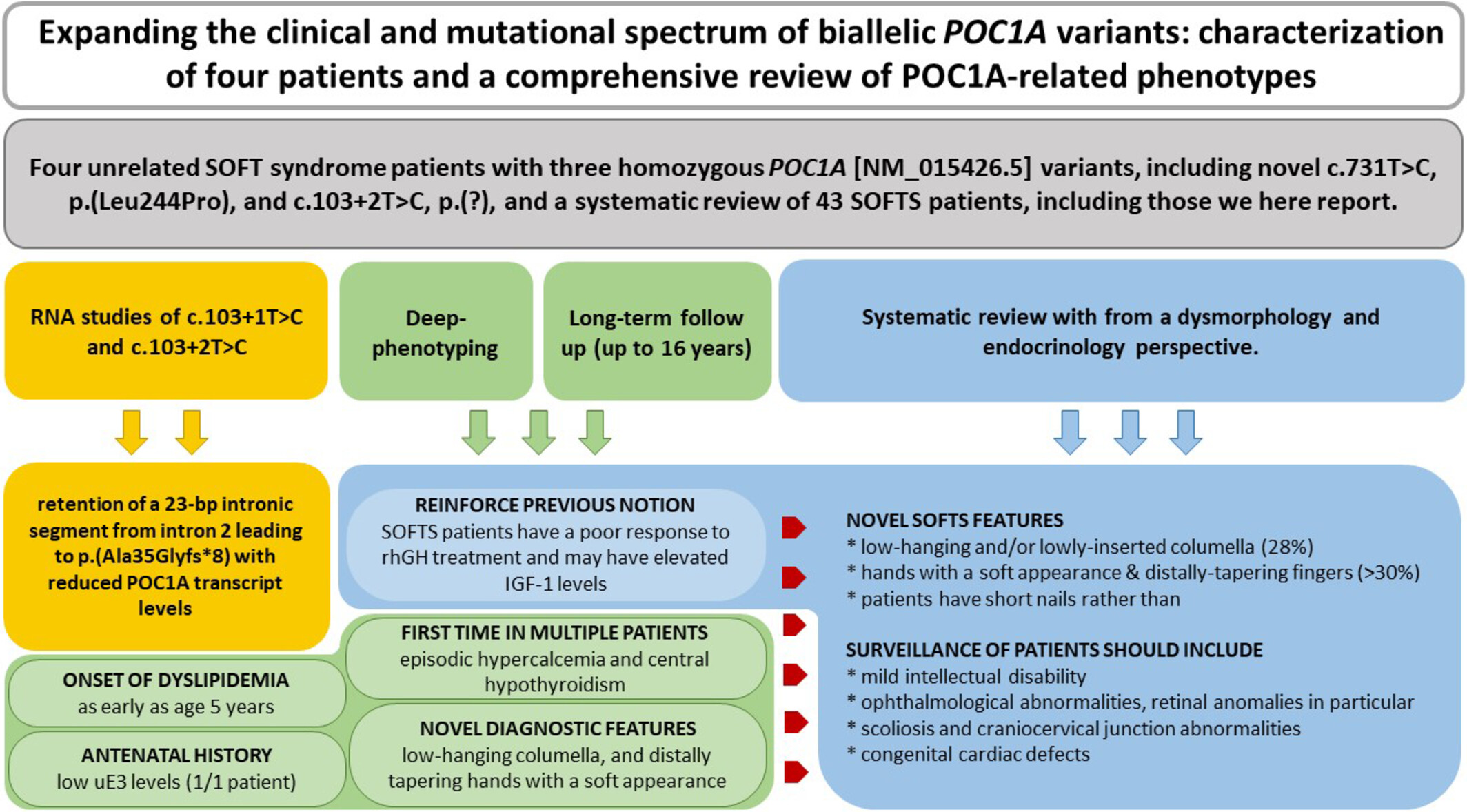 Expanding the Clinical and Mutational Spectrum of Biallelic
POC1A
Variants: Characterization of Four Patients and a Comprehensive Review of POC1A-Related Phenotypes