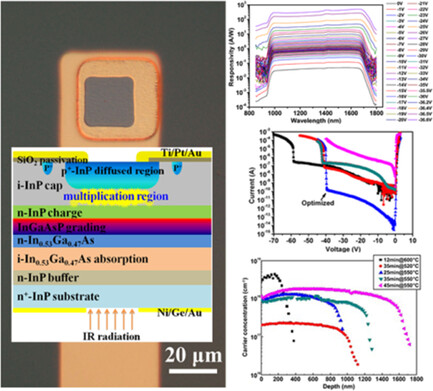 Optimized Selective-Area p-Type Diffusion for the Back-Illuminated Planar InGaAs/InP Avalanche Photodiodes by a Single Diffusion Process