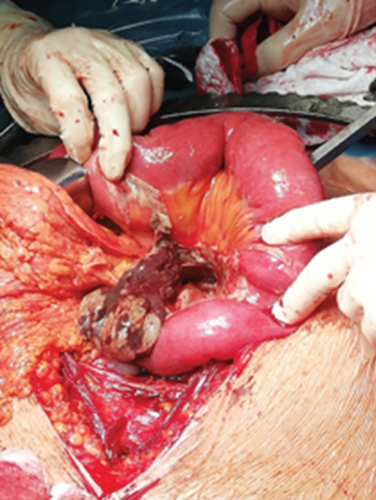 Details are in the caption following the image Details are in the caption following the image