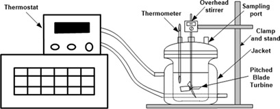Influence of Solvents on Solution-Mediated Polymorphic Transformation of the Polymorphs of L-Histidine