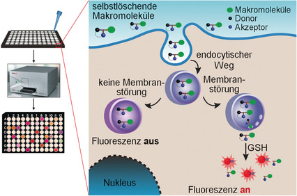 A Redox-Activatable Fluorescent Sensor for the High-Throughput Quantification of Cytosolic Delivery of Macromolecules