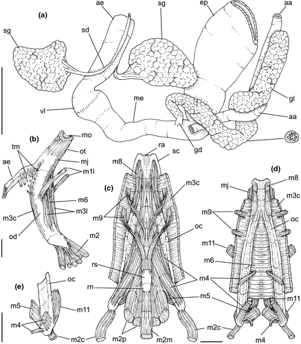 Details are in the caption following the image Details are in the caption following the image