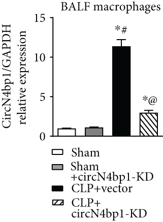 Details are in the caption following the image
