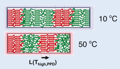 Polymere mit Temperatur- und Formgedächtnis