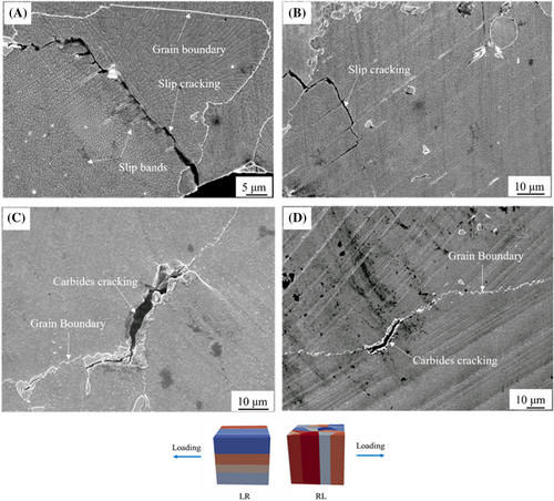 Details are in the caption following the image