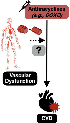 Details are in the caption following the image