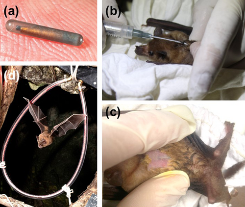Details are in the caption following the image Details are in the caption following the image