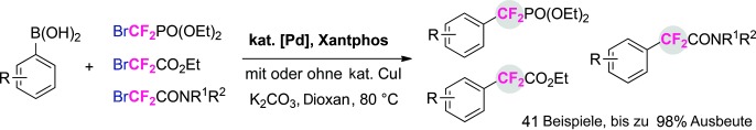 Palladium-Catalyzed Difluoroalkylation of Aryl Boronic Acids: A New Method for the Synthesis of Aryldifluoromethylated Phosphonates and Carboxylic Acid Derivatives