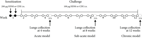 Details are in the caption following the image Details are in the caption following the image