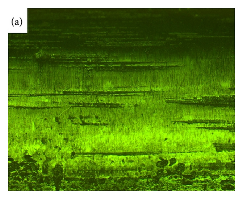 Details are in the caption following the image Details are in the caption following the image