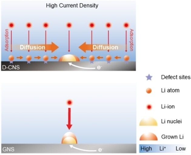 The Impact of Supersaturated Electrode on Heterogeneous Lithium Nucleation and Growth Dynamics