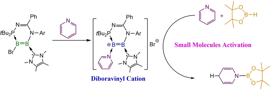 A Pyridine-Stabilized N-Phosphinoamidinato N-Heterocyclic Carbene-Diboravinyl Cation: Boron Analogue of Vinyl Cation