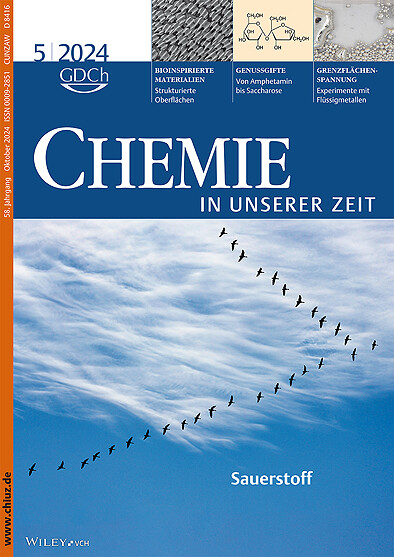 Sauerstoff Volume 58 Issue 5, 2024