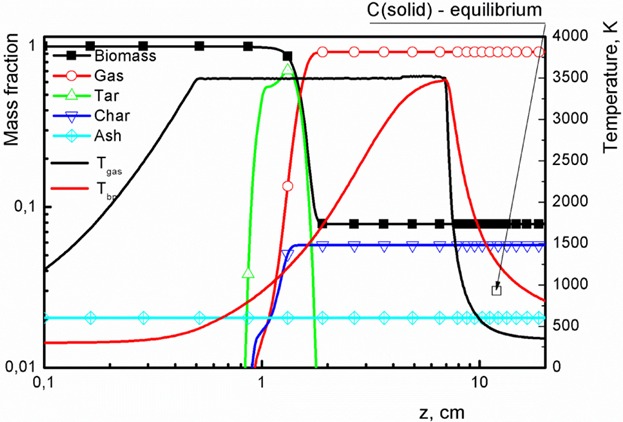 Modeling of a Microwave Plasma Driven Biomass Pyrolitic Conversion for Energy Production