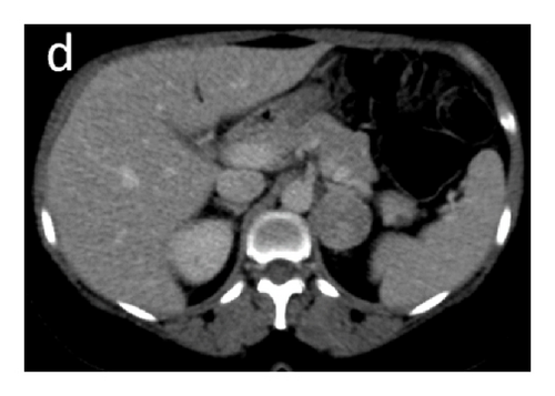 Details are in the caption following the image Details are in the caption following the image
