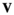 urn:x-wiley:1010061X:media:jeb13939:jeb13939-math-0193