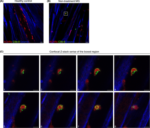 Details are in the caption following the image Details are in the caption following the image
