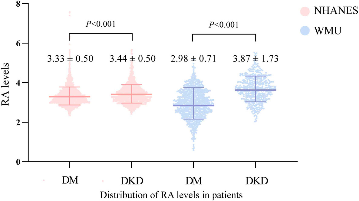 Association between red cell distribution width/serum albumin ratio and diabetic kidney disease Issue 7, 2024
