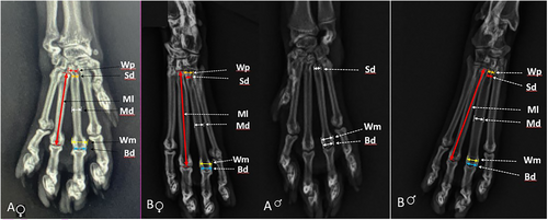 Details are in the caption following the image Details are in the caption following the image
