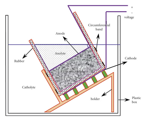 Details are in the caption following the image Details are in the caption following the image
