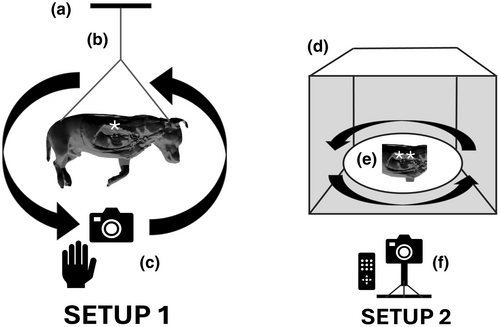 Details are in the caption following the image